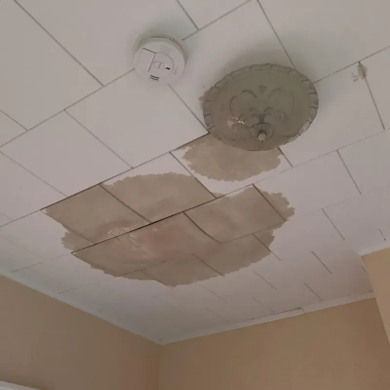 Ceiling Water Damage Repair in Pottawattamie County, IA