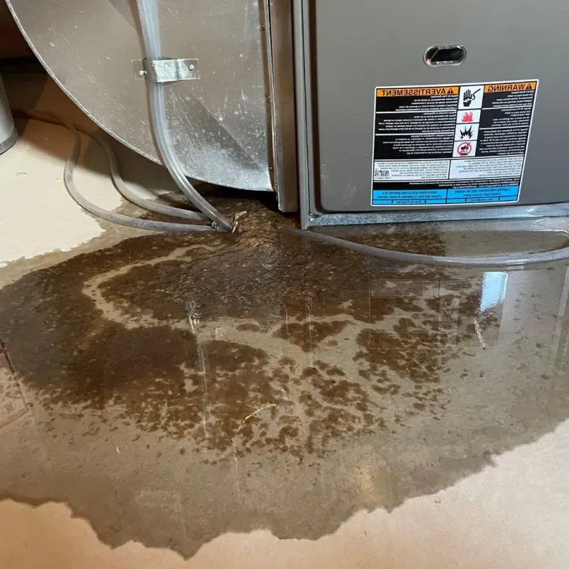 Pipe Burst and Leak Restoration in Pottawattamie County, IA